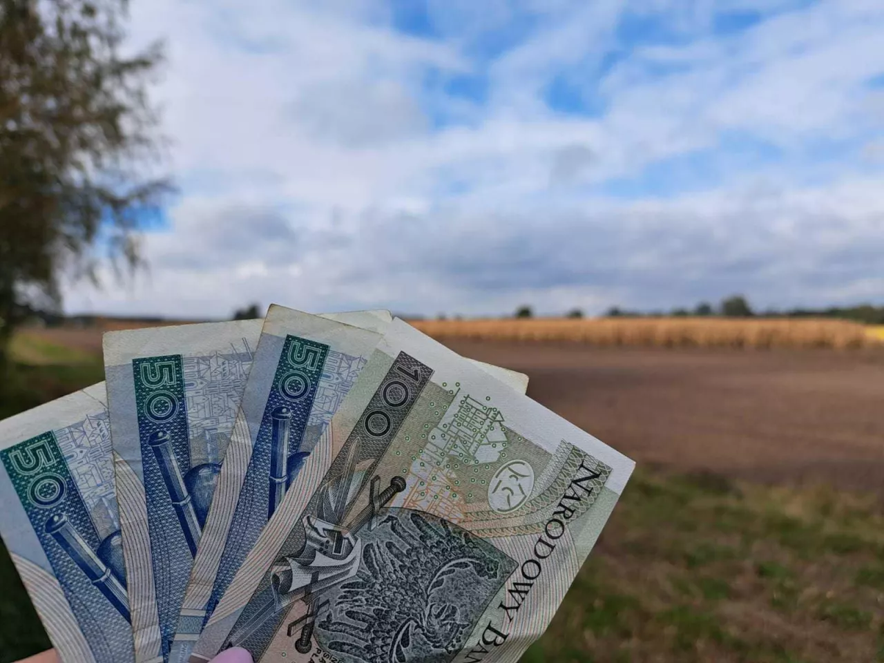 pole, pieniądze