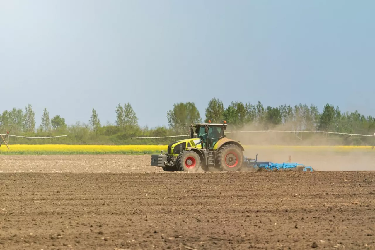 Ciągnik Claas z kultywatorem pracuje w polu uprawnym
