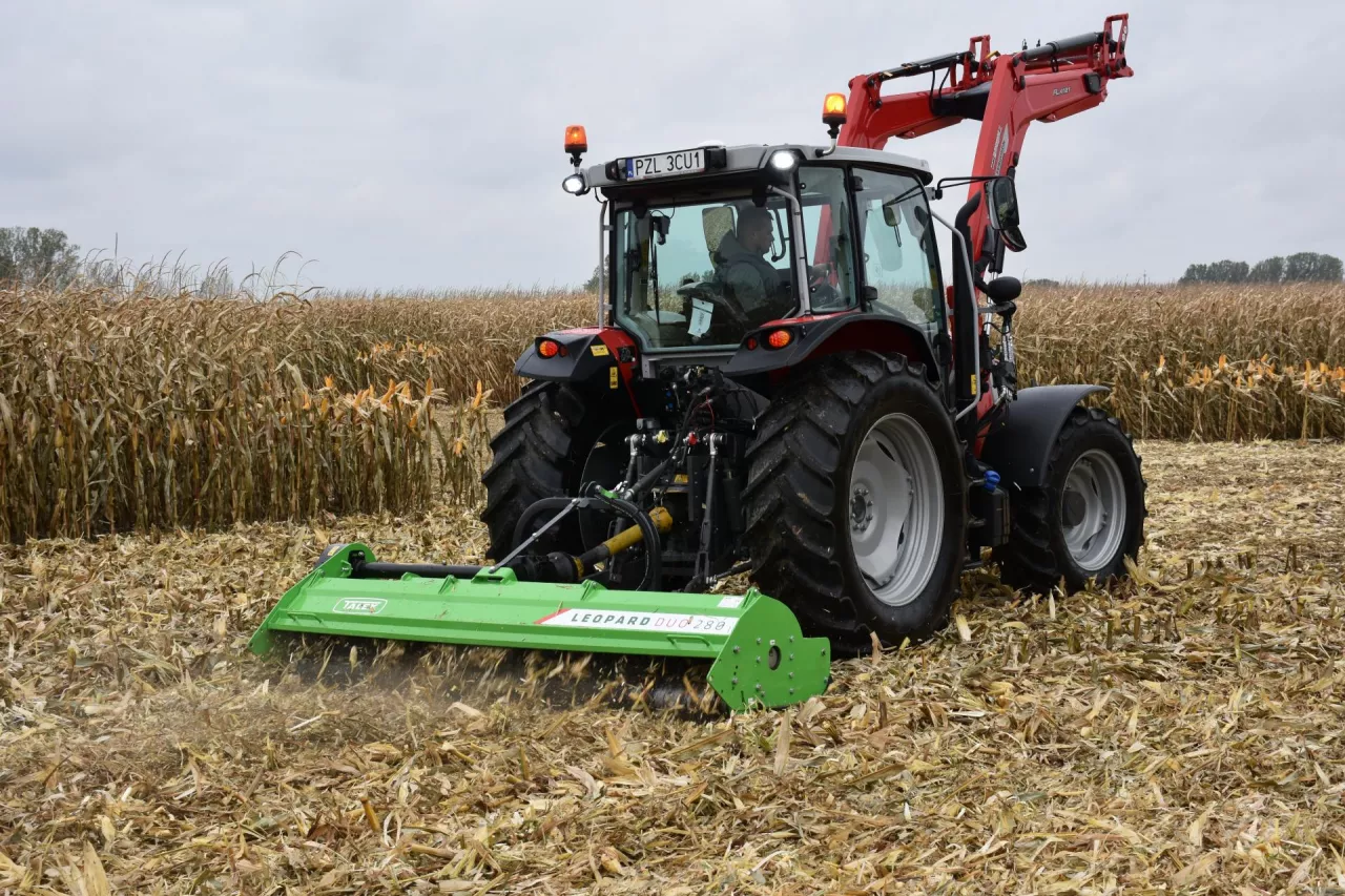 Kosiarką bijakową Leopard Duo można wykonywać zabieg mulczowania ścierniska kukurydzy