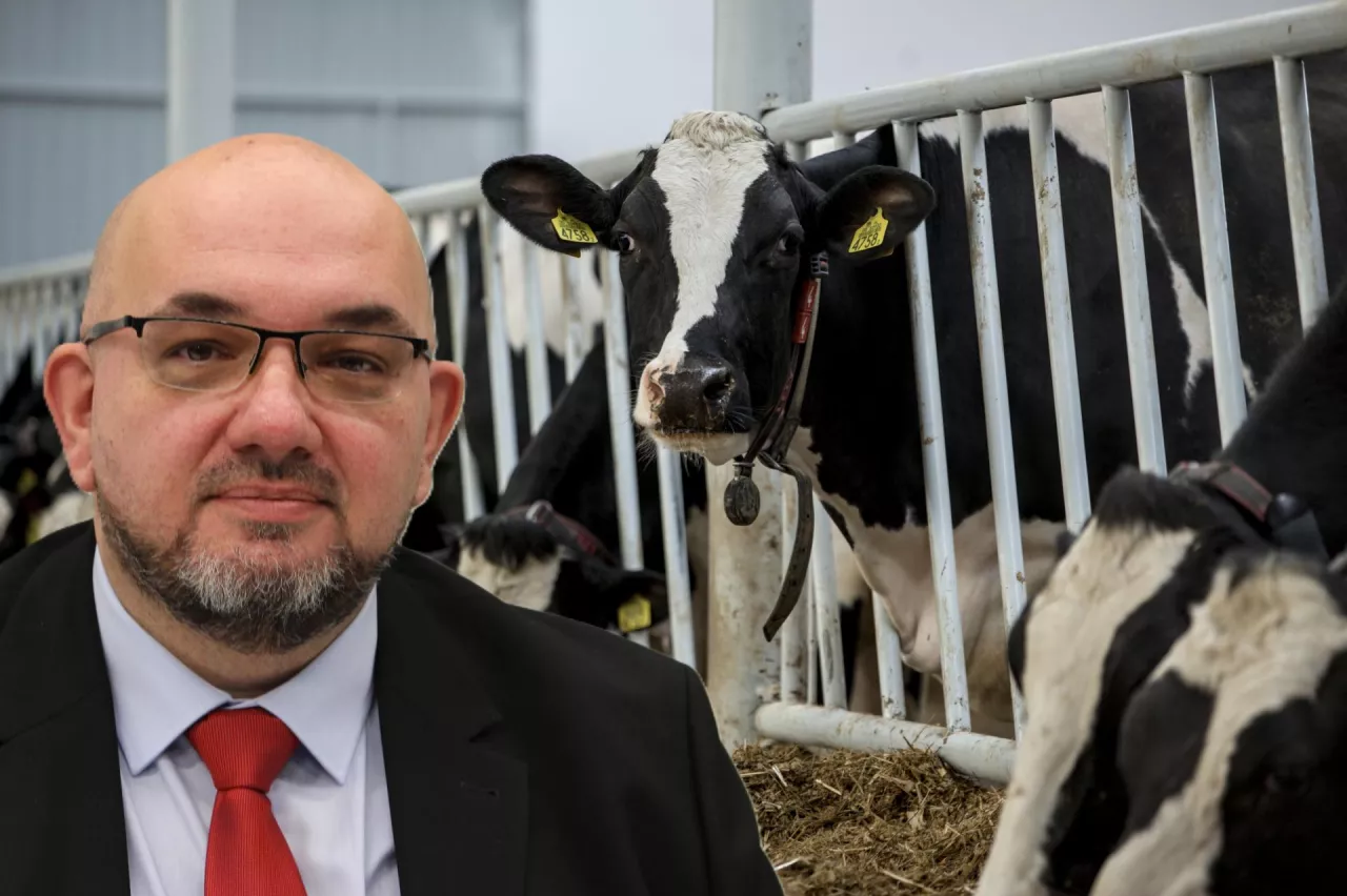 Powstaje wrażenie, że nie mamy wpływu na to, co się dzieje jako mleczarstwo, jako rolnictwo, czy sektor rolniczy – mówi Marcin Hydzik, prezes zarządu Związku Polskich Przetwórców Mleka (ZPPM)