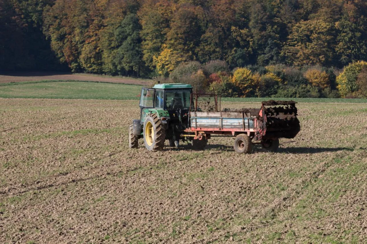 Traktor rozrzucający obornik na polu. W tle pas drzew i jesienne barwy, symbol działań rolno-środowiskowych w ramach zielonej architektury WPR.