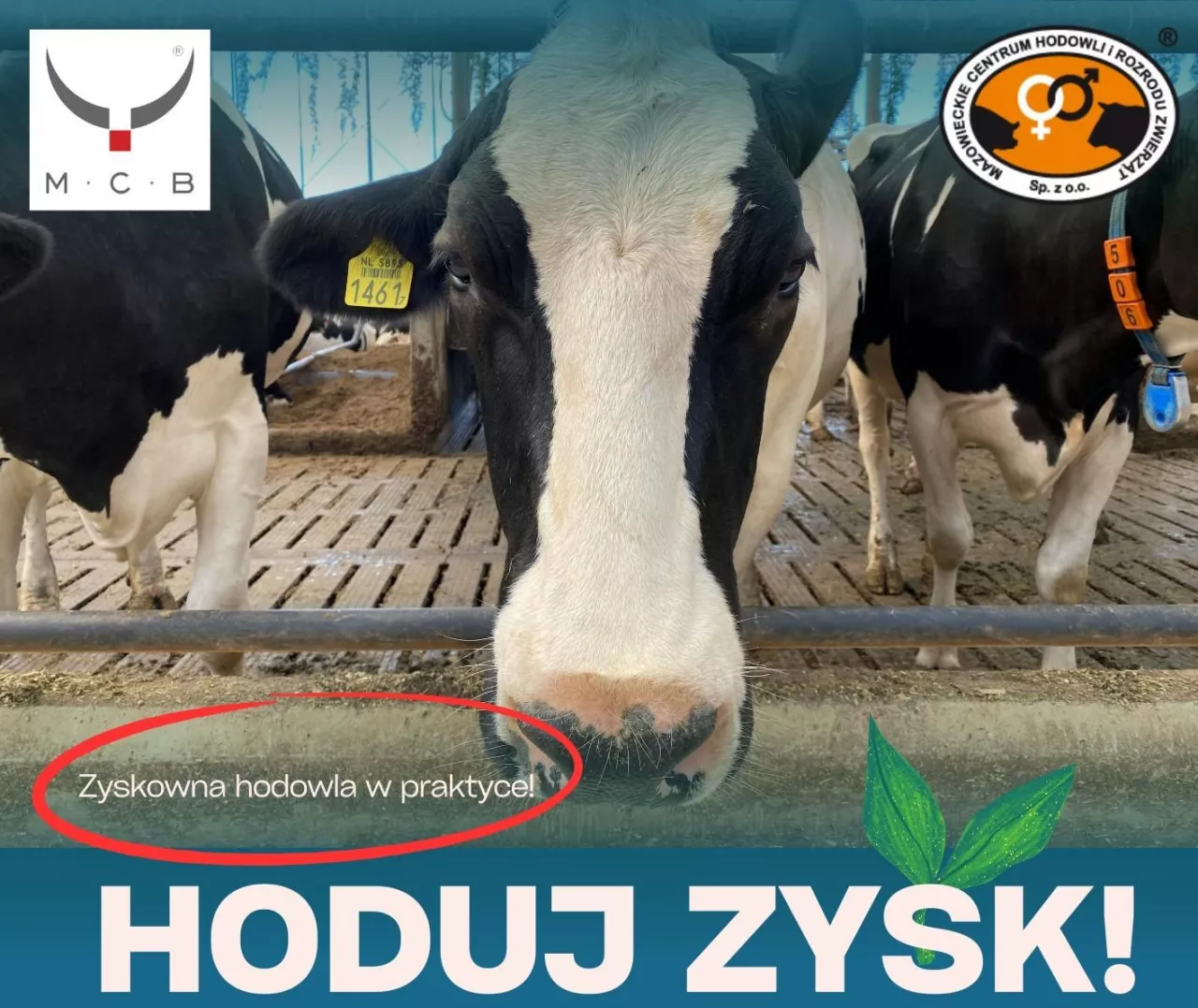 Rusza cykl konferencji ”Hoduj Zysk! organizowane przez Mazowieckie Centrum Hodowli i Rozrodu Zwierząt (MCHiRZ) oraz Małopolskie Centrum Biotechniki (MCB).