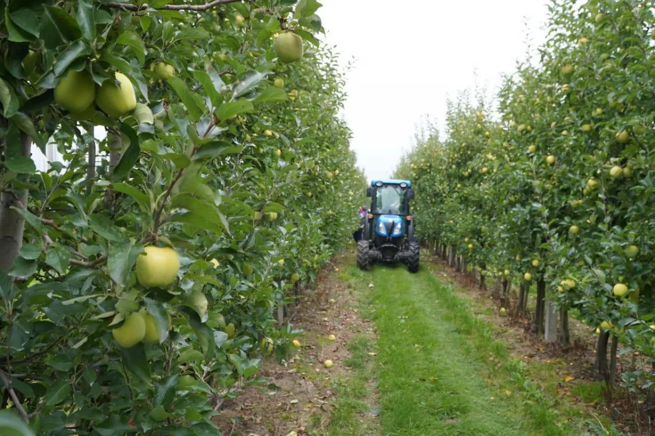 Rolnicy: nie da się ubezpieczyć upraw. Ministerstwo zapowiada zmiany w przepisach