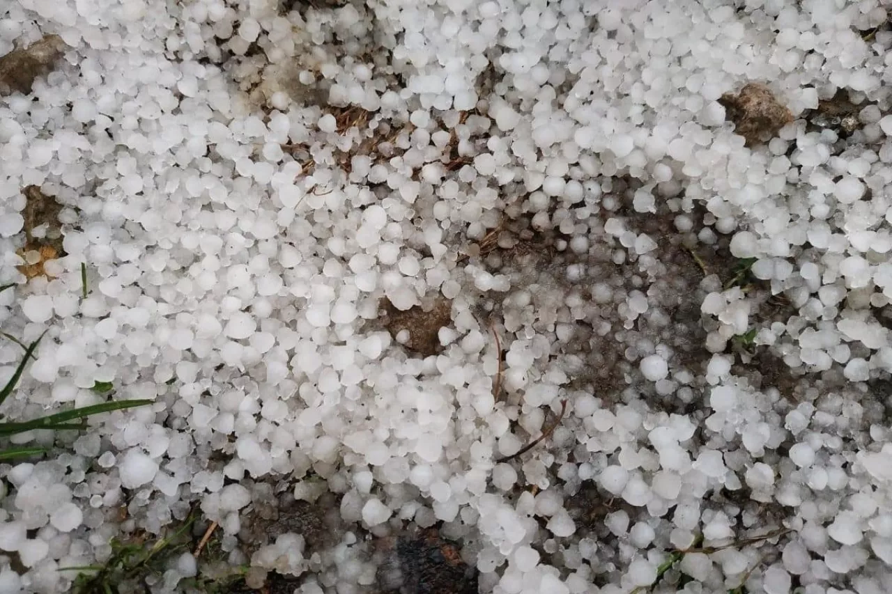 efekt gradobicia na polu