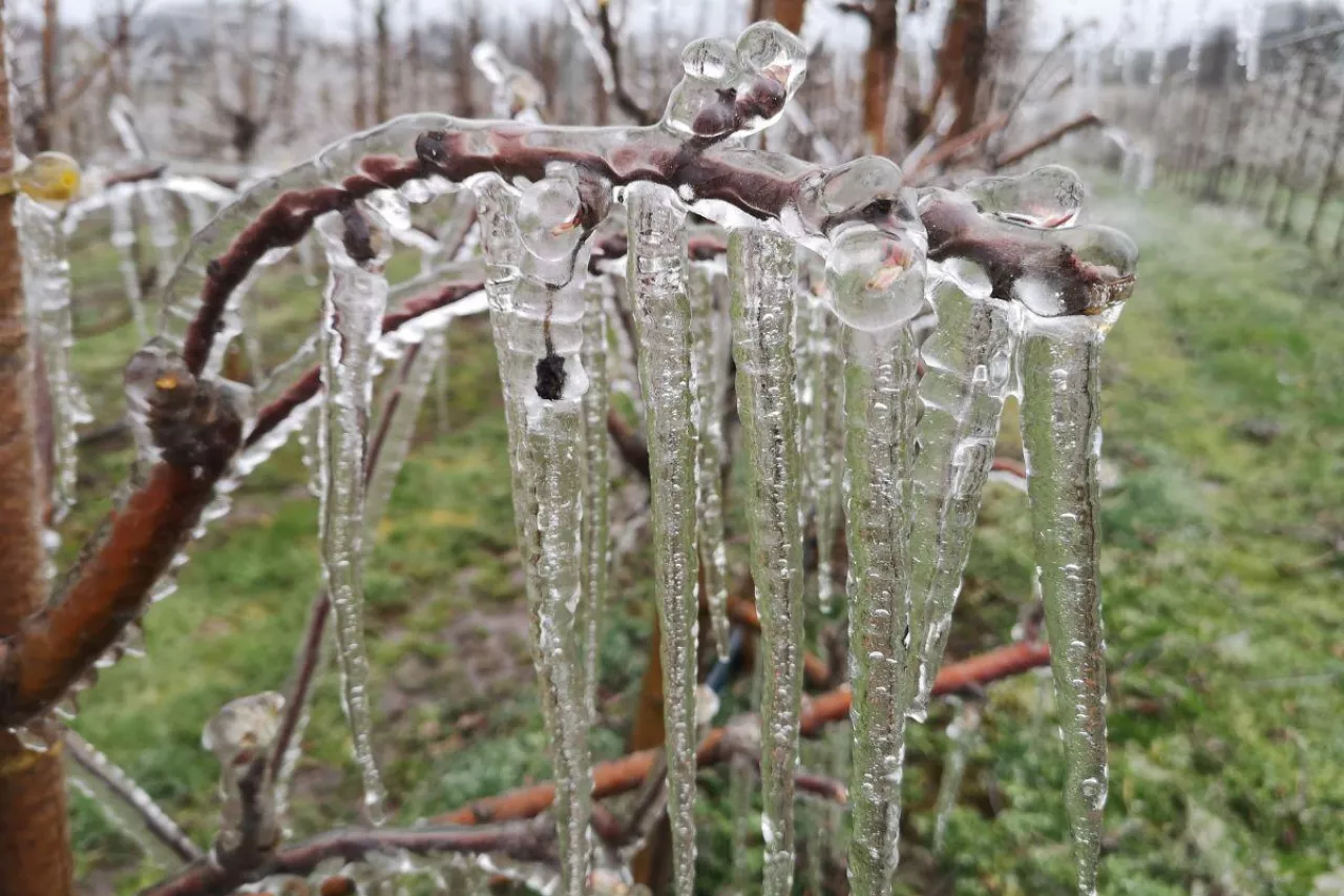 Dopłaty tylko dla wybranych rolników. „To rażąco krzywdzące”