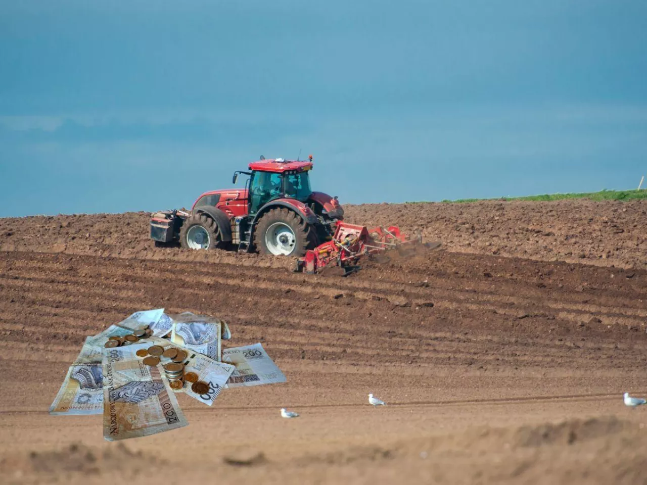 KOWR sprzeda ponad 110 ha ziemi. Gdzie i za ile?