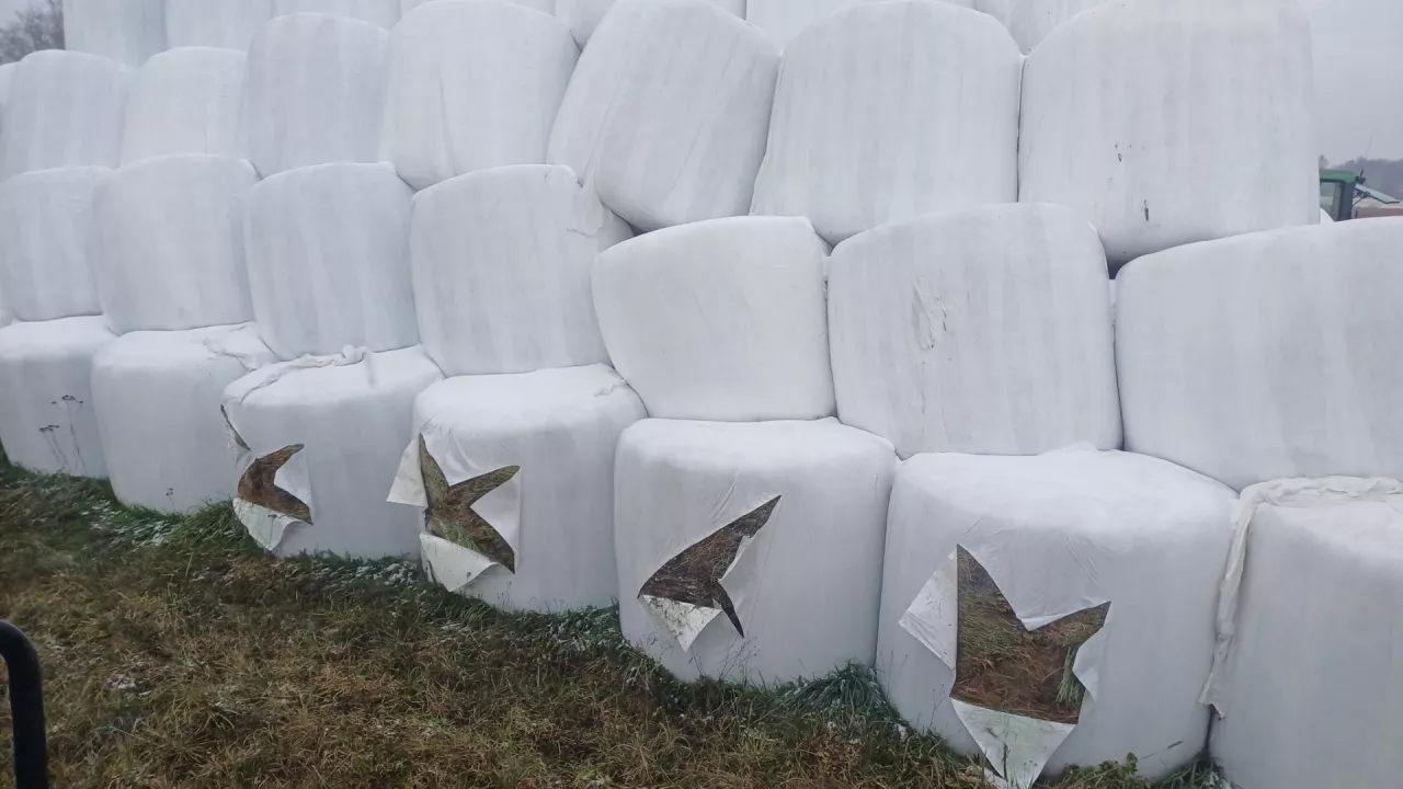 Pocięte baloty, rolnik