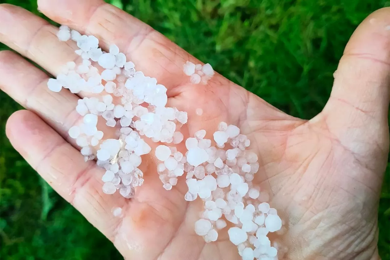 Rolnicy nie dostają pełnego wsparcia z ARiMR po po stratach pogodowych. Dlaczego?