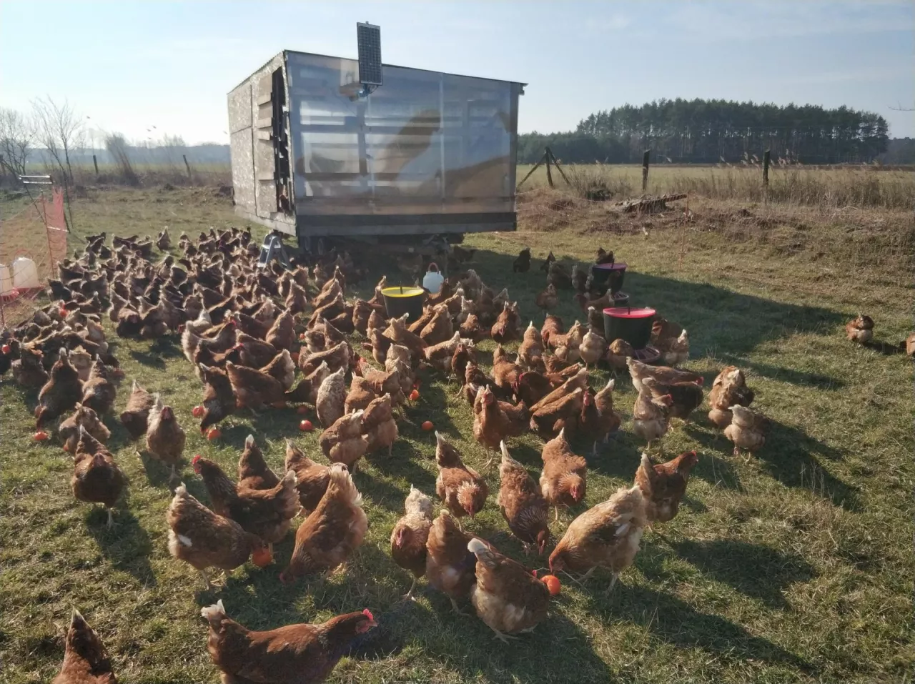 Obowiązkowa ankieta GUS dla rolników. O co tym razem pytają ankieterzy?