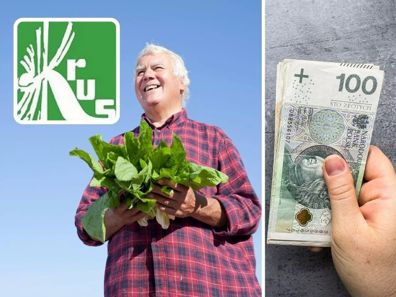 Tyle wynosi emerytura rolnika po 25 latach. STAWKI KRUS