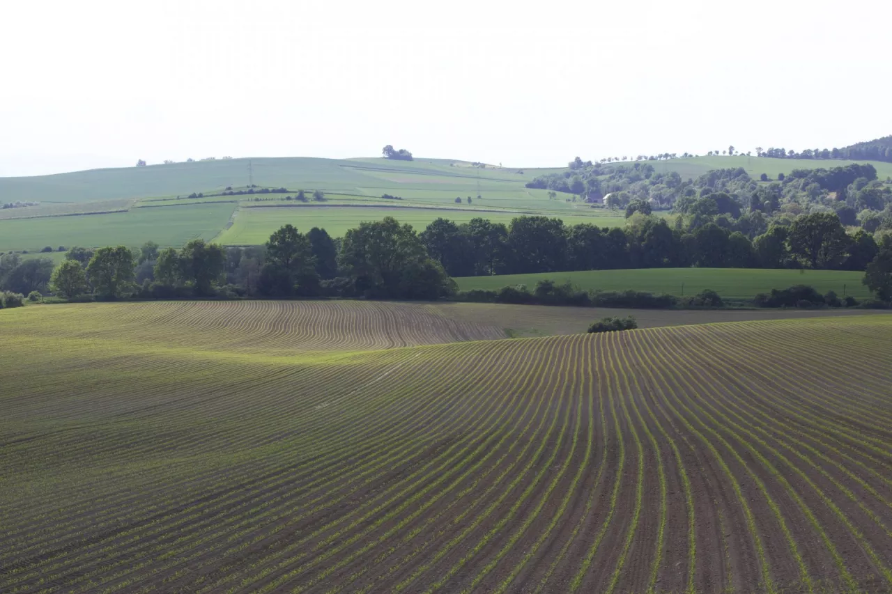 Rolnik ryczałtowy a sprzedaż gruntów pod zabudowę