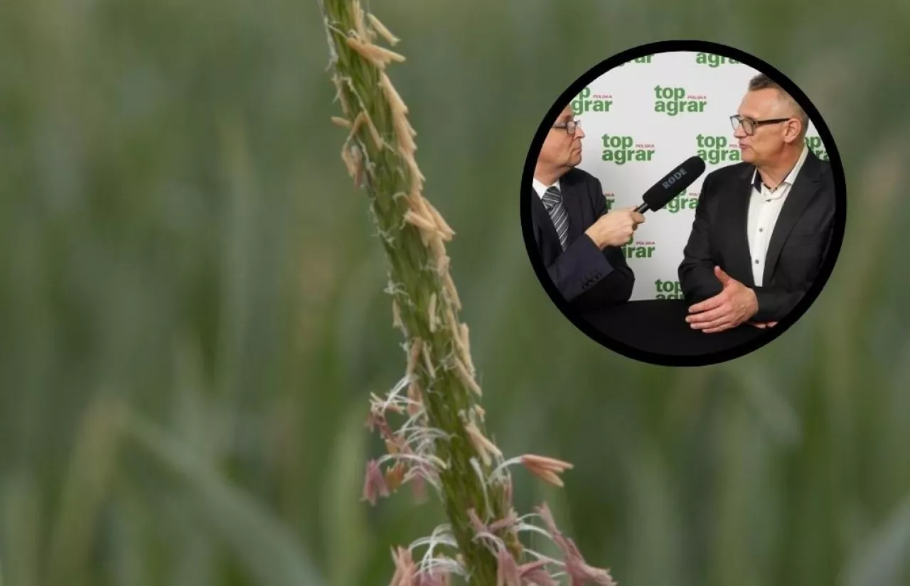 Wywiad Forum Bystroński