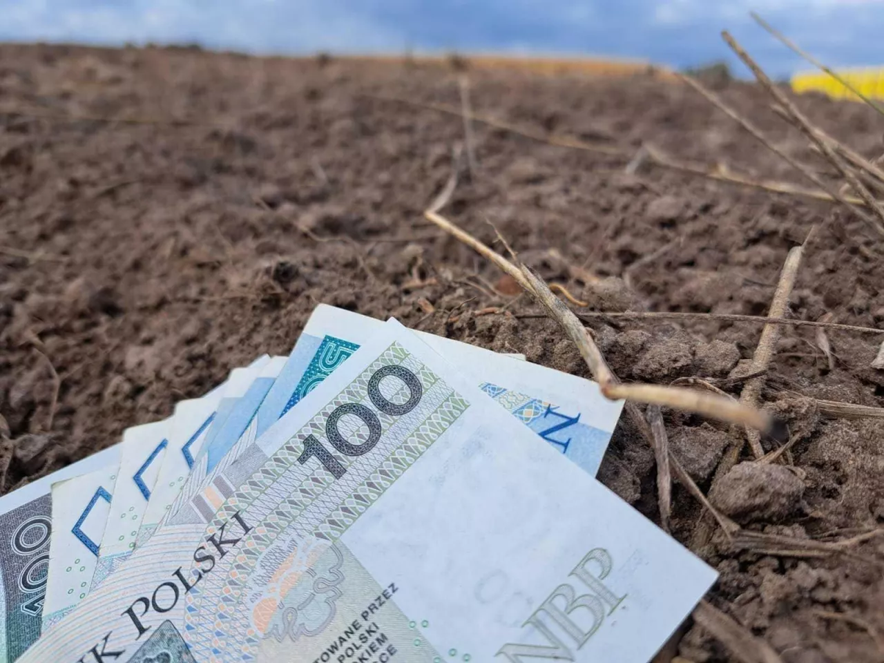 Jaka składka KRUS za I kwartał 2026?