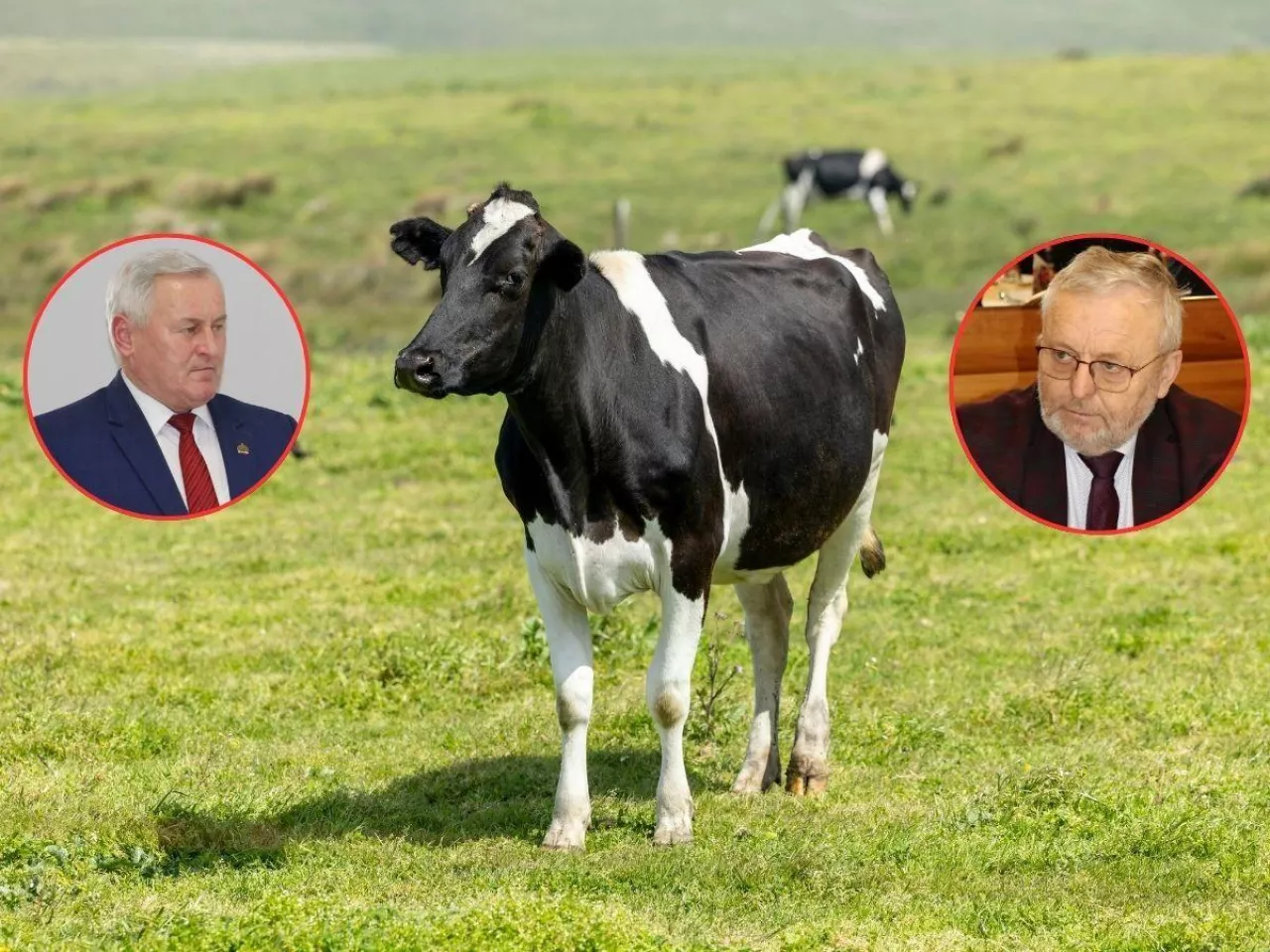 Ceny mleka spadły nawet o 50 gr. Jest wniosek o pilne dopłaty dla rolników