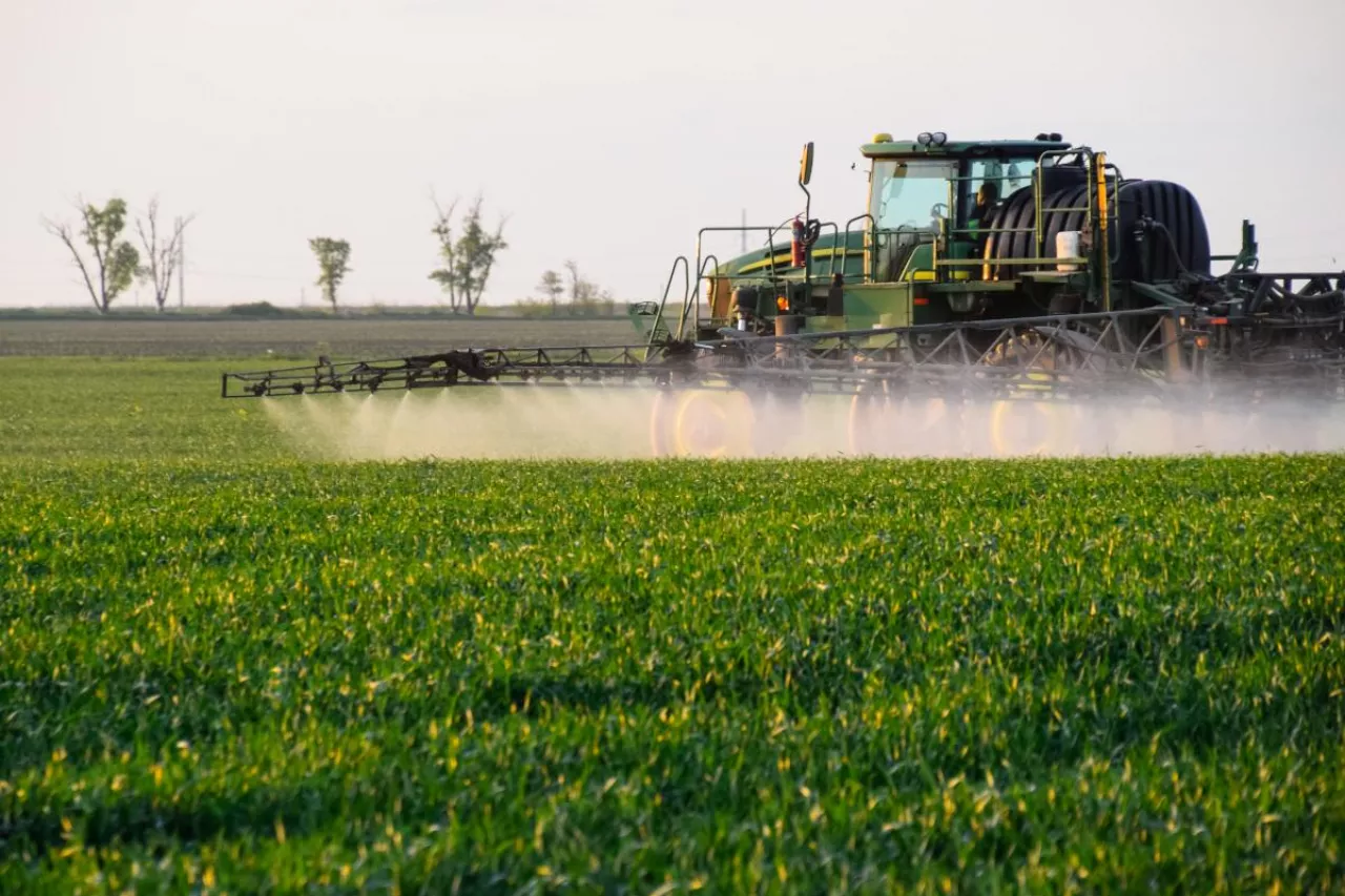Ciągnik z opryskiwaczem podczas pracy na polu zboża