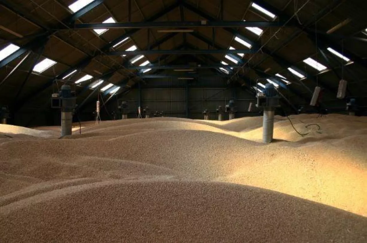 zboże zmagazynowane na magazynie z wentylacją