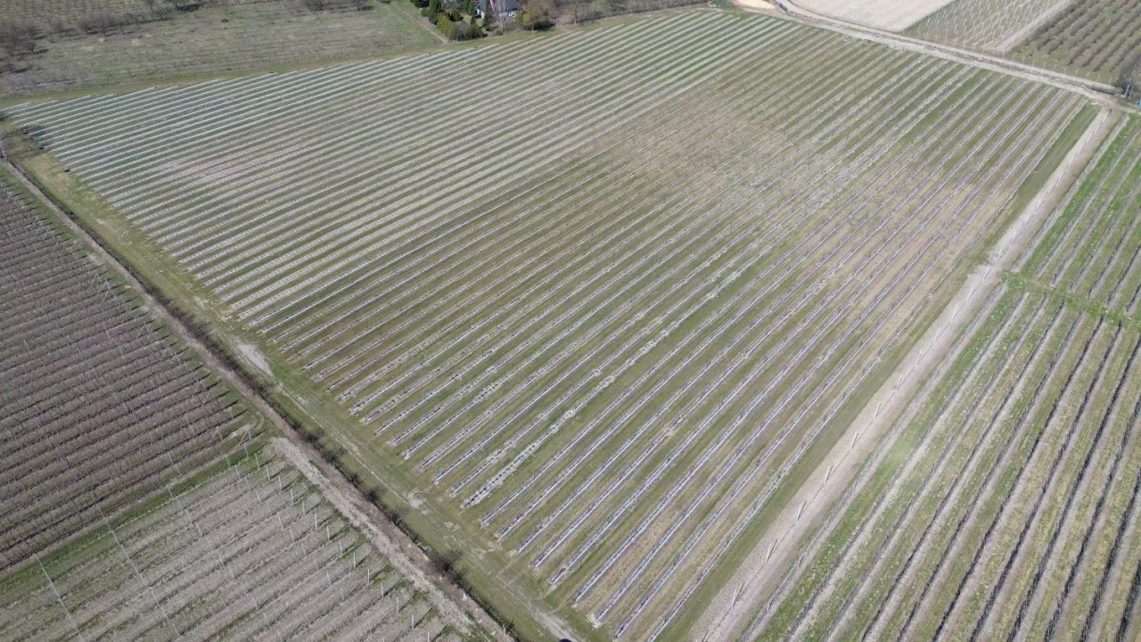 Kwatera borówkowa Michała Kota