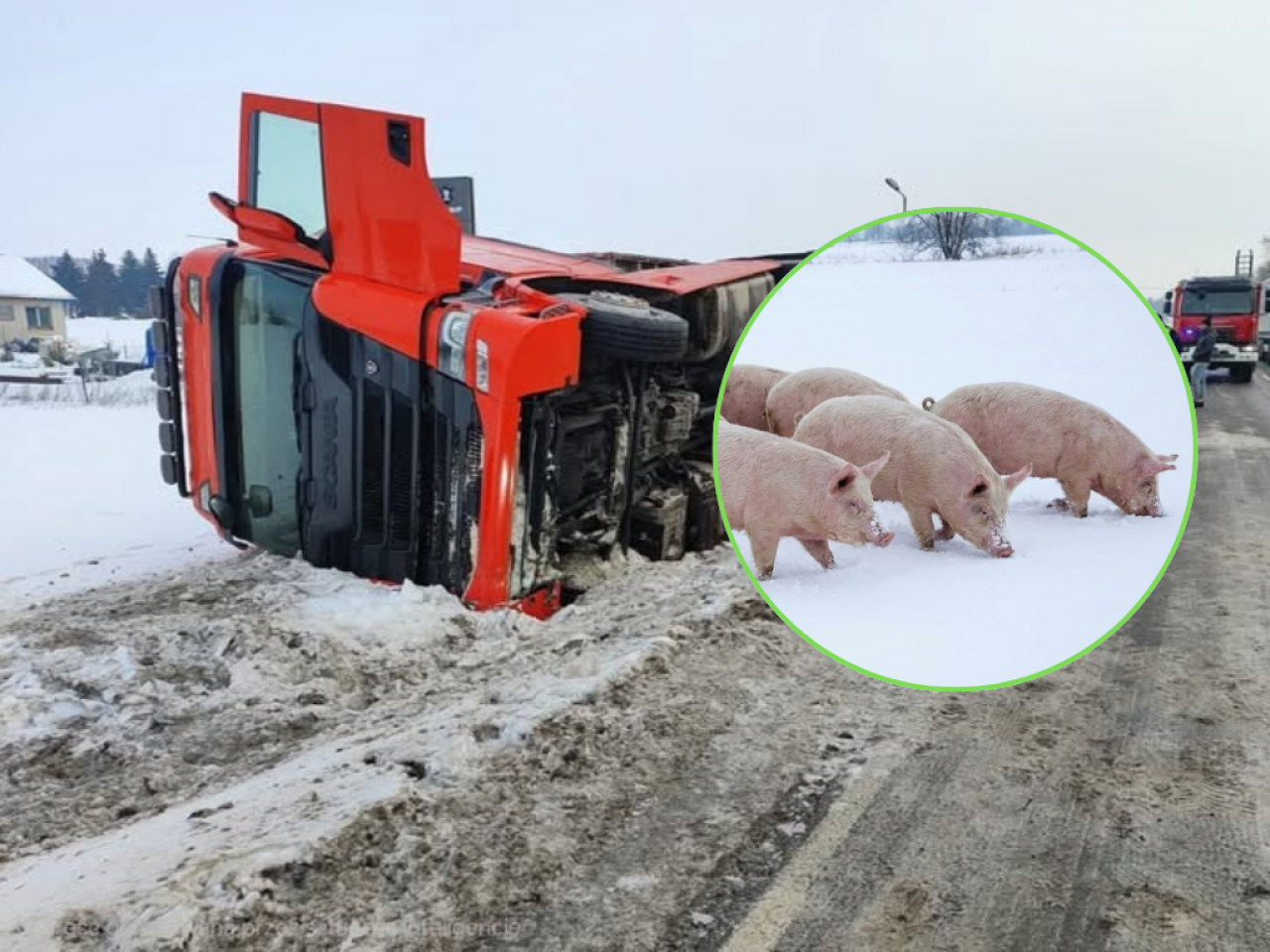 Czerwona ciężarówka przewróciła się na prawy bok w śniegu