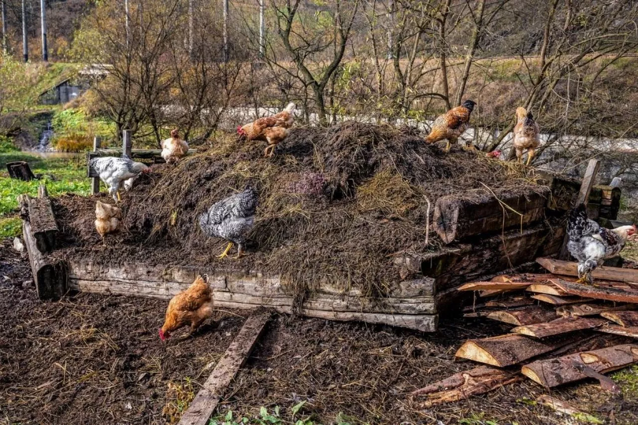 Przechowywanie obornika, obornik