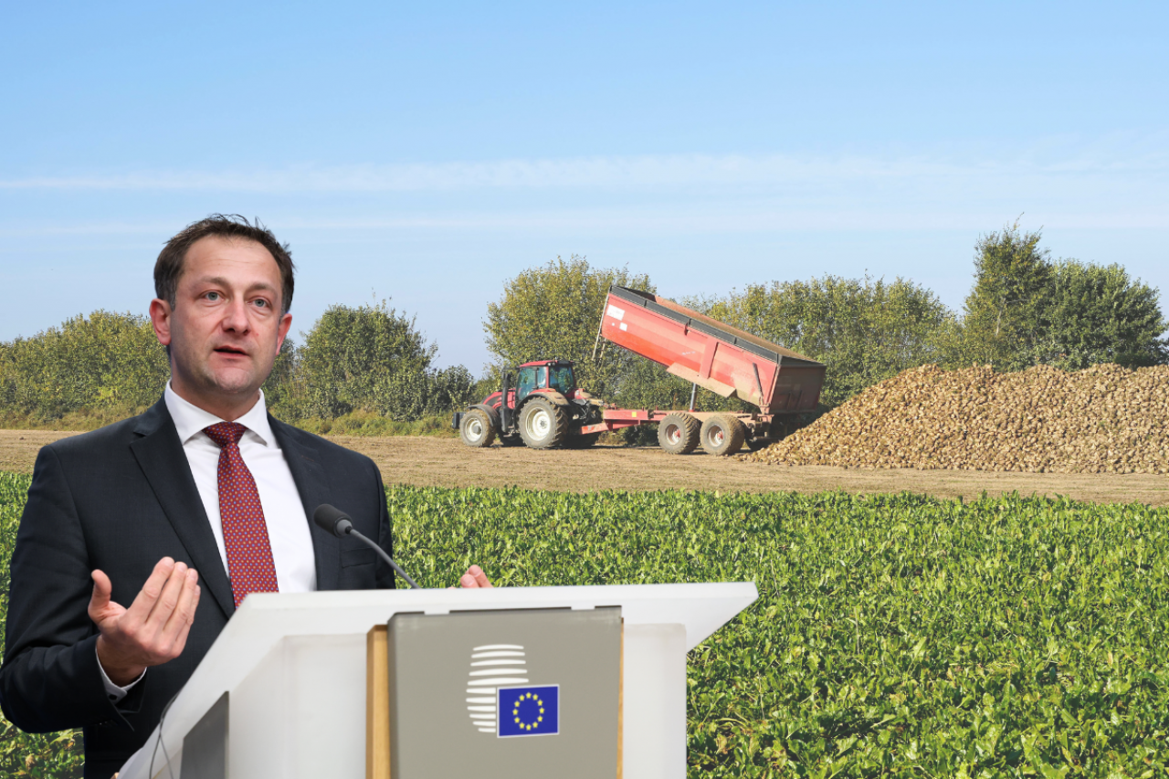 Komisarz UE ds. rolnictwa Chrostophe Hansen przemawiający na tle pola buraków cukrowych i zbioru buraków.