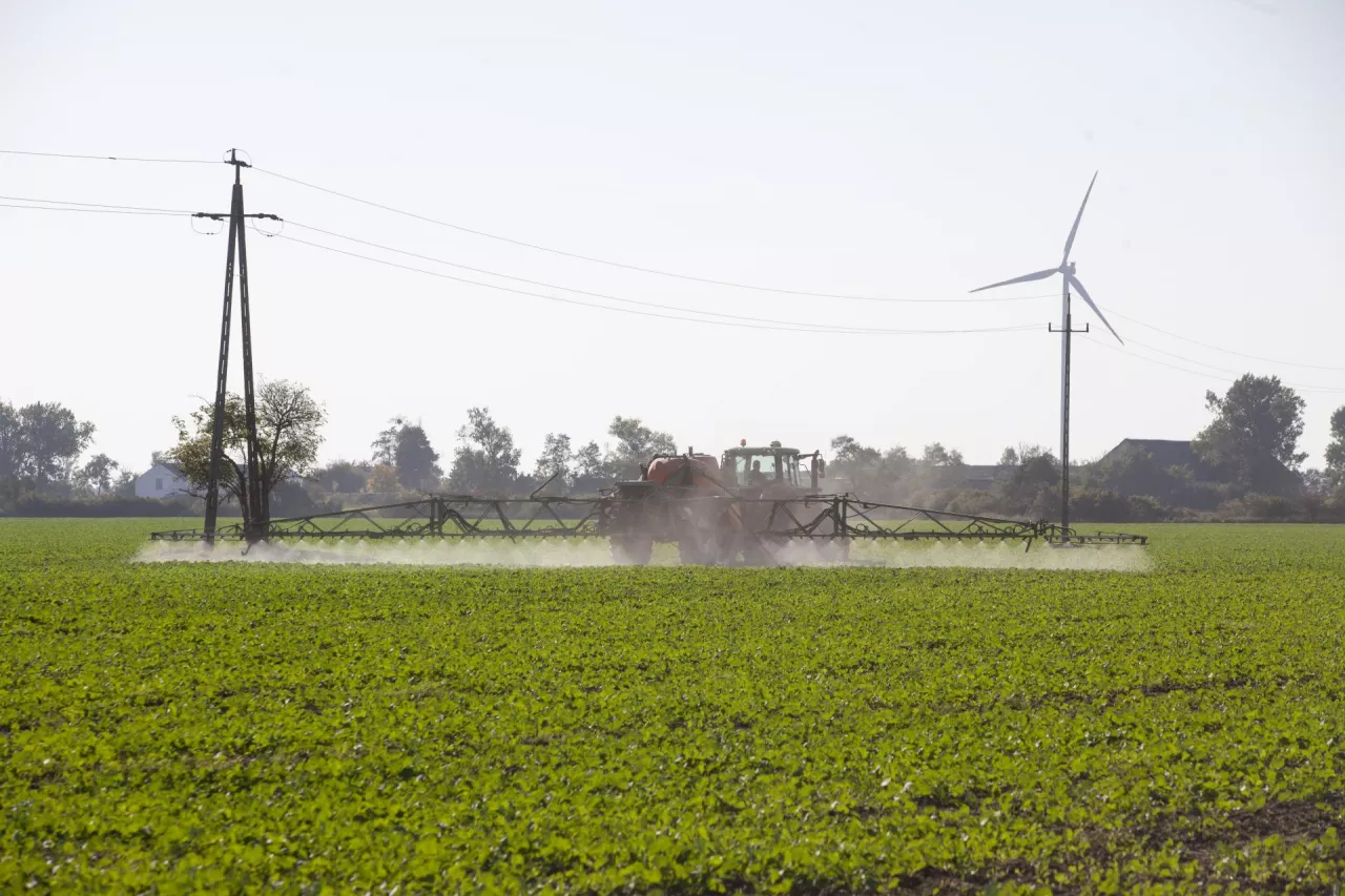 Słupy na polu? Rolnicy mogą żądać pieniędzy nawet lata wstecz