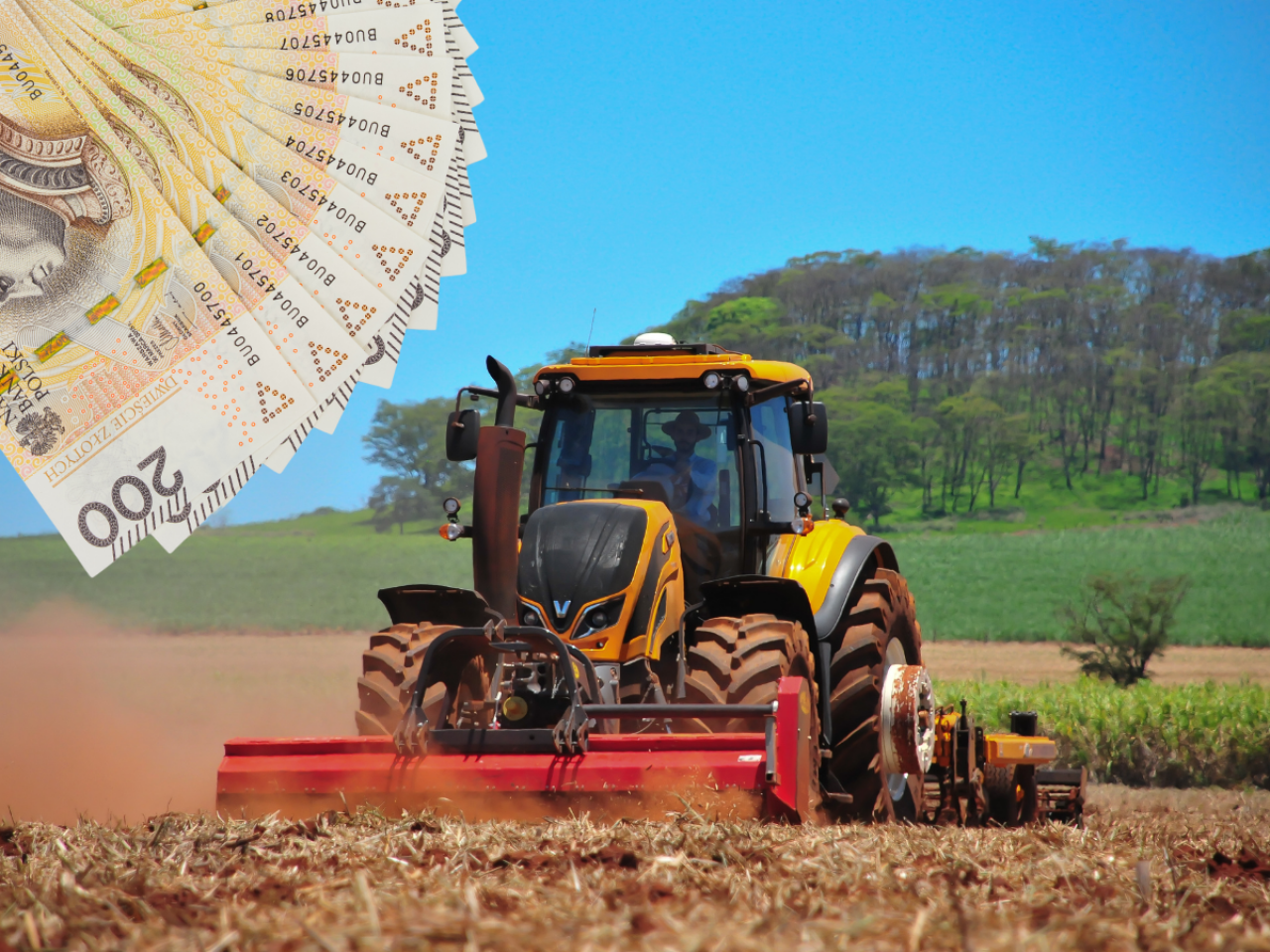 Dopłaty niepewne, stawki nieznane. Kontrolerzy ostrzegają rolników