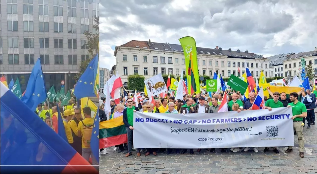 Protest rolników w Brukseli, zorganizowany przez Copa-Cogeca, przeciwko planom radykalnej reformy WPR