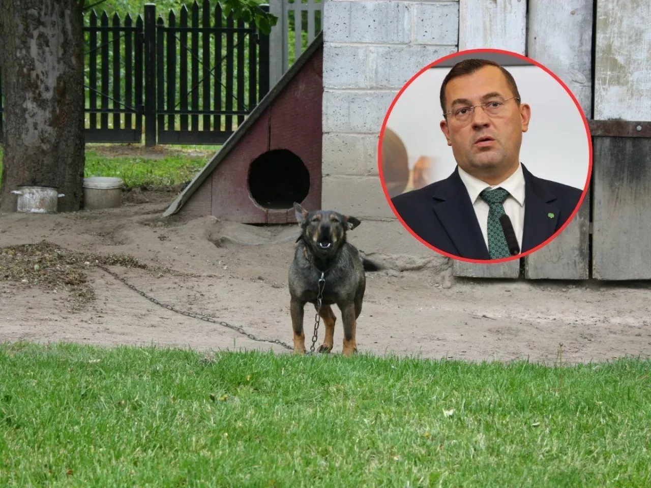 pis, buda, łańcuch, twarz ministra rolnictwa