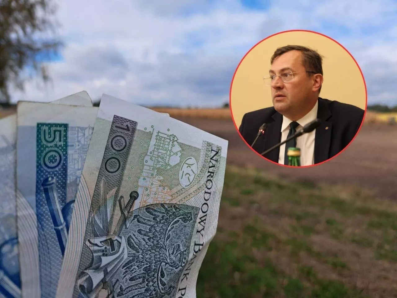 Będą dopłaty wyrównawcze dla rolników? Jest odpowiedź ministra