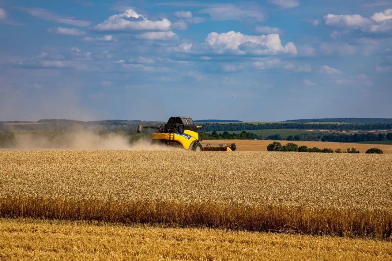 Kombajn zbożowy pracujący na polu w trakcie żniw, w tle krajobraz rolniczy i niebo z chmurami.