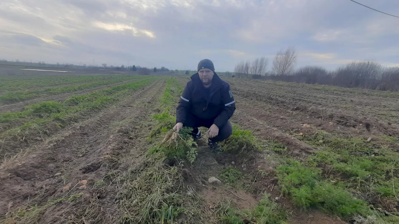 jakubowski reportaż restrukturyzacja gospodarstwa