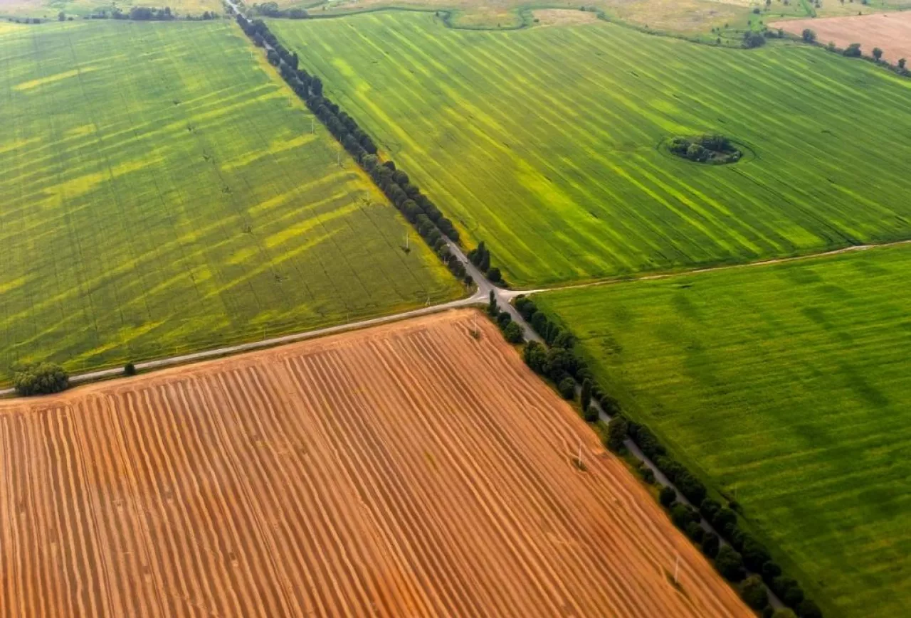 przetarg na ziemię rolną