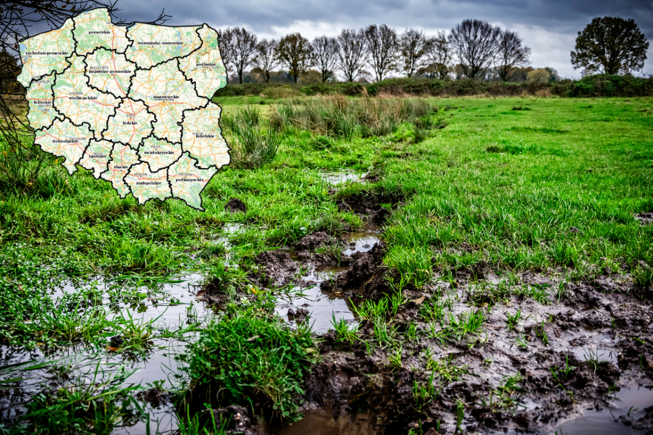 Dokument nie spełnia kryterium równowagi między celami środowiskowymi a bezpieczeństwem żywnościowym – twierdzą rolnicy