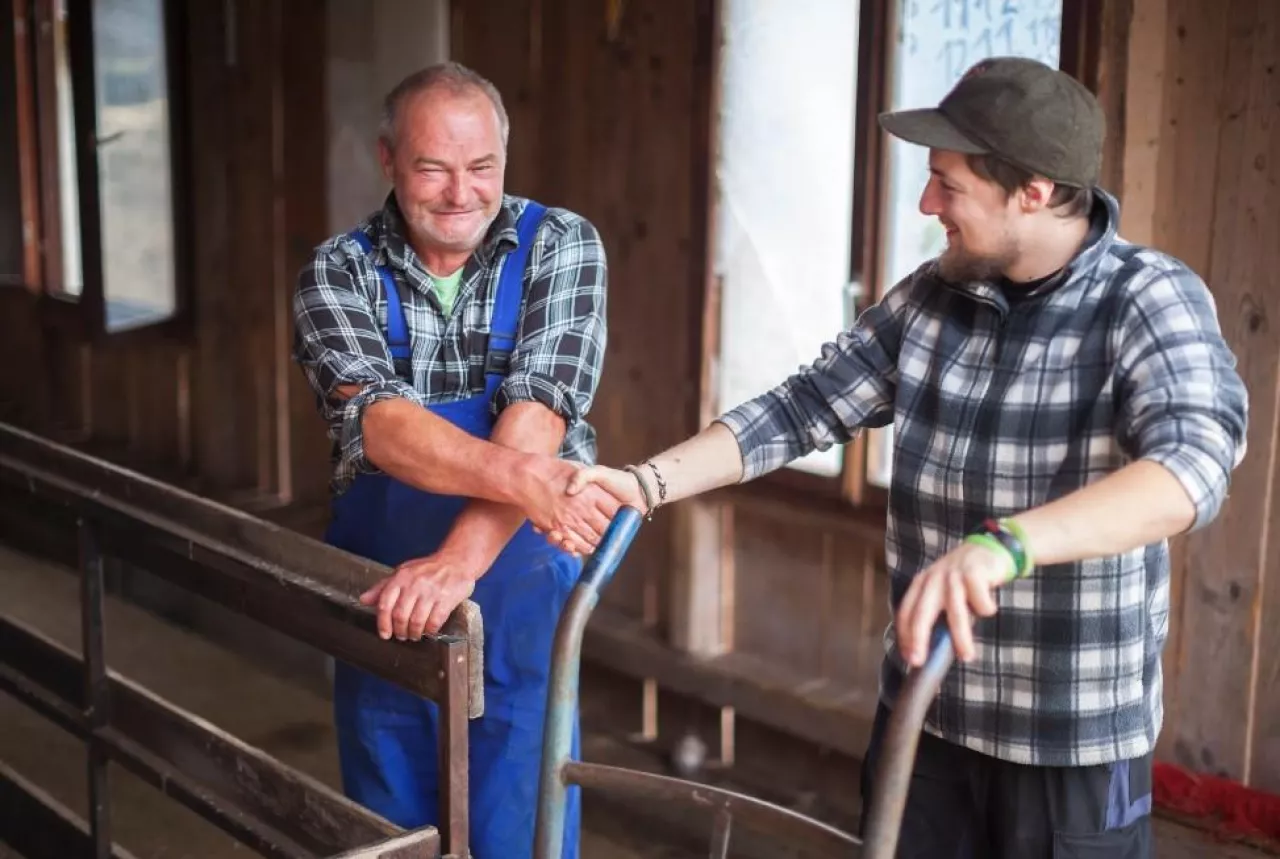 „Syn nie jest parobkiem”. Ile powinien zarabiać młody rolnik w gospodarstwie ojca?