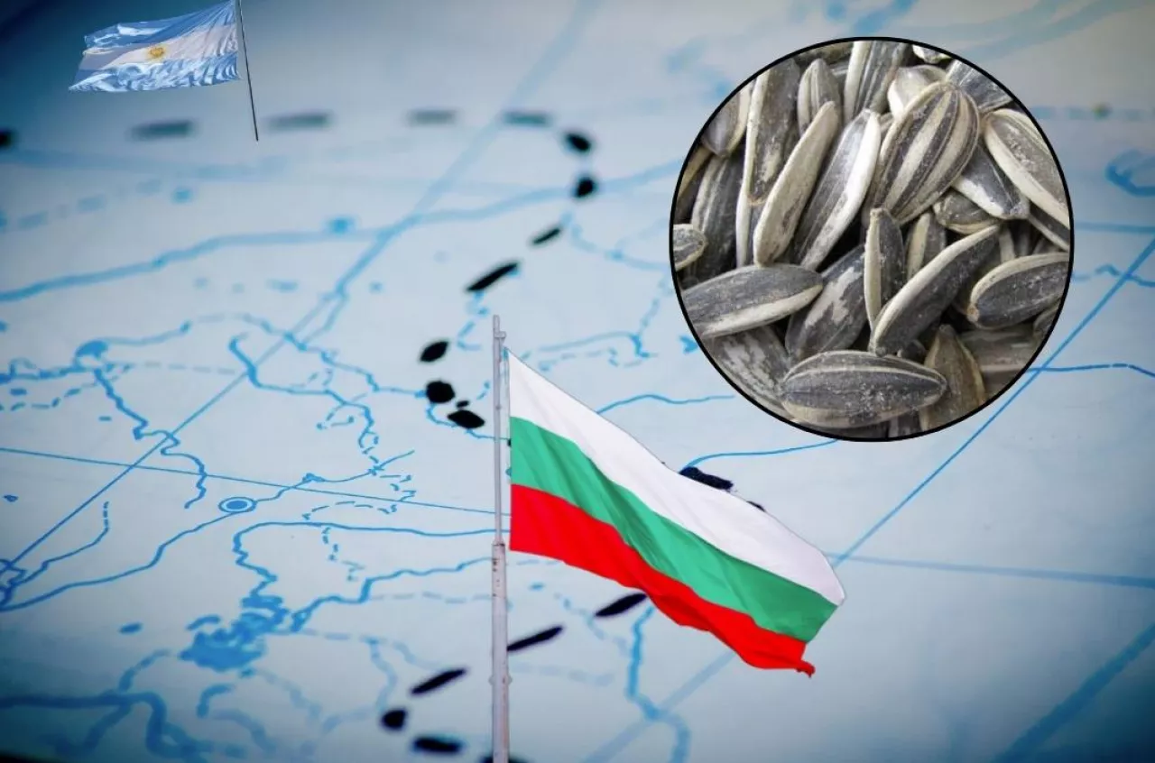 Kolejna skażona partia słonecznika z Argentyny w Bułgarii. Pestycydy przekraczają unijne normy