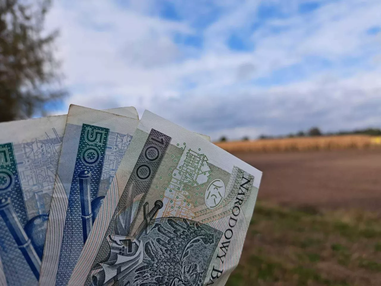 pieniądze, kredyt, rolnictwo, banknoty