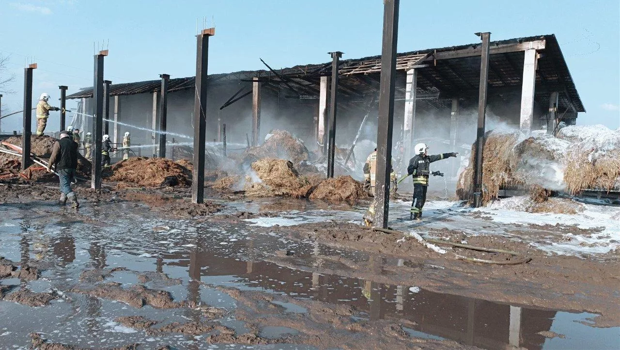 Pożar miał tragiczne skutki. Zginęło m.in. bydło