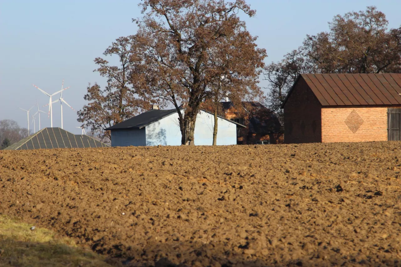 W Polsce aktualnie funkcjonuje 668 grup producentów rolnych, jednak ich rozmieszczenie regionalne jest bardzo nierównomierne