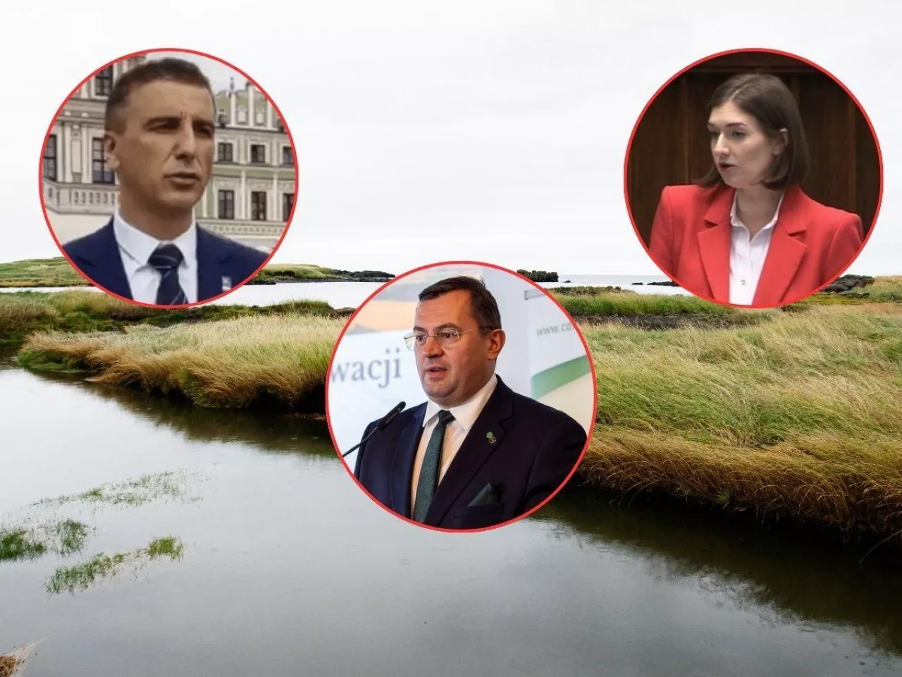 Strategia ochrony obszarów wodno-błotnych w Polsce wraz z Planem działań