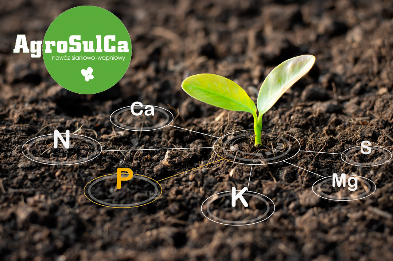 Wartościowy fosfor ucieka z gleby? Złap go i wykorzystaj jego potencjał w całości.