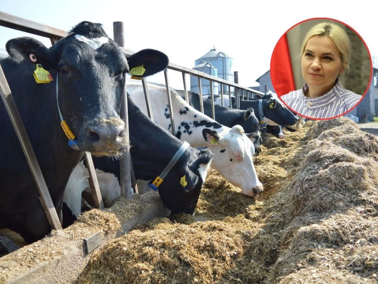 Ceny mleka: różnice sięgają nawet 2 zł/l. Rolnicy chcą wyjaśnień