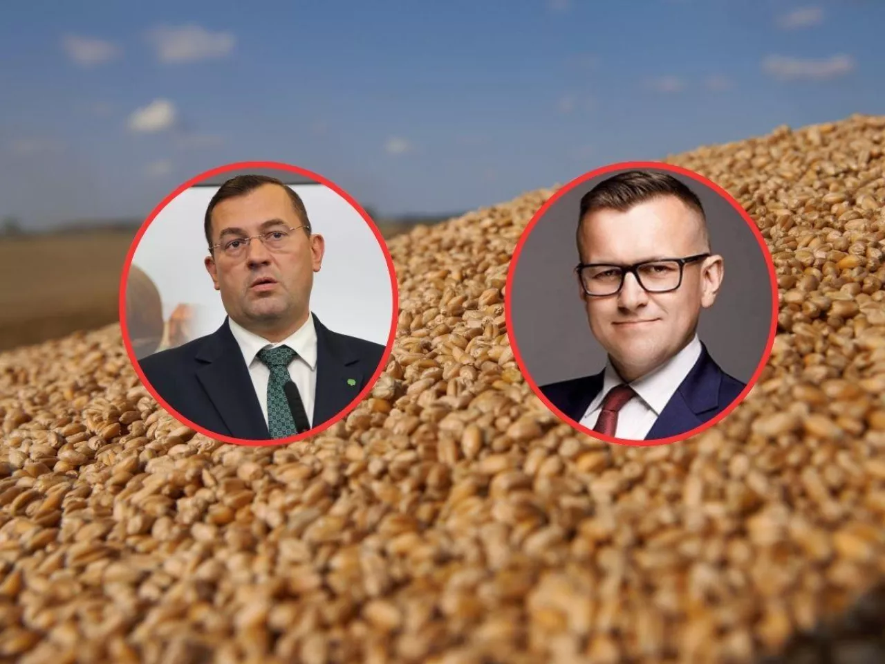 pszenica na pryzmie, twarz Marcin Wroński, Stefan Krajewski w kółkach