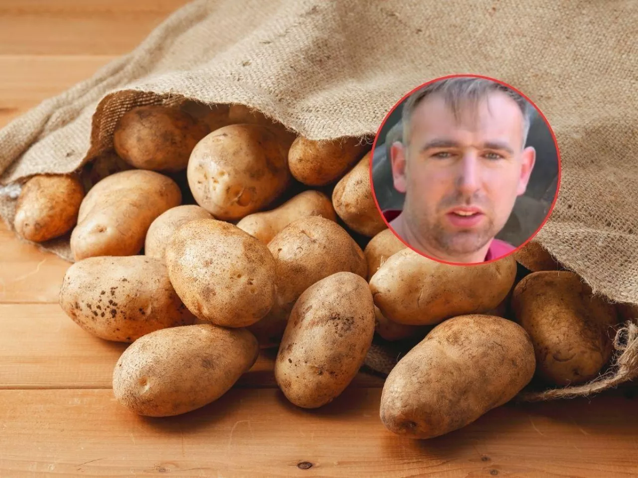 ziemniaki, a na ich tle twarz rolnika, Szymona Ręcławowicza