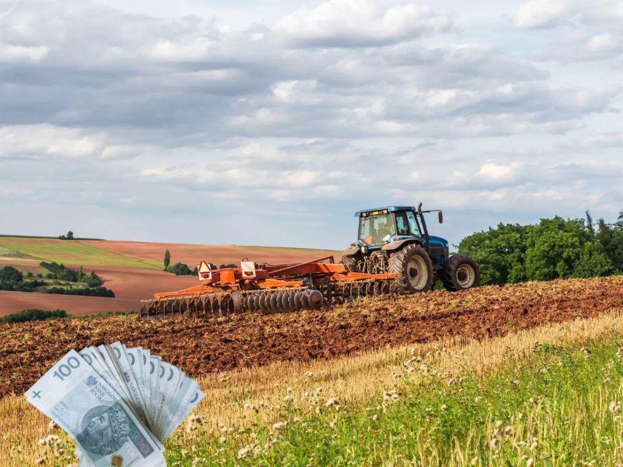 KOWR wydzierżawi ponad 100 ha ziemi na Dolnym Śląsku. Jaki czynsz?