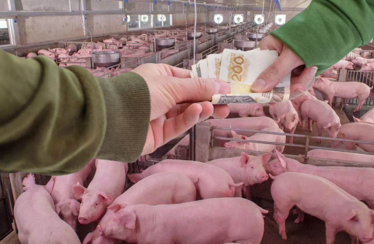 Rolnicy czekają na pieniądze z ARiMR. „Minęły 3 miesiące i nic”